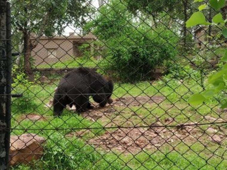 Van Vihar National Park-4